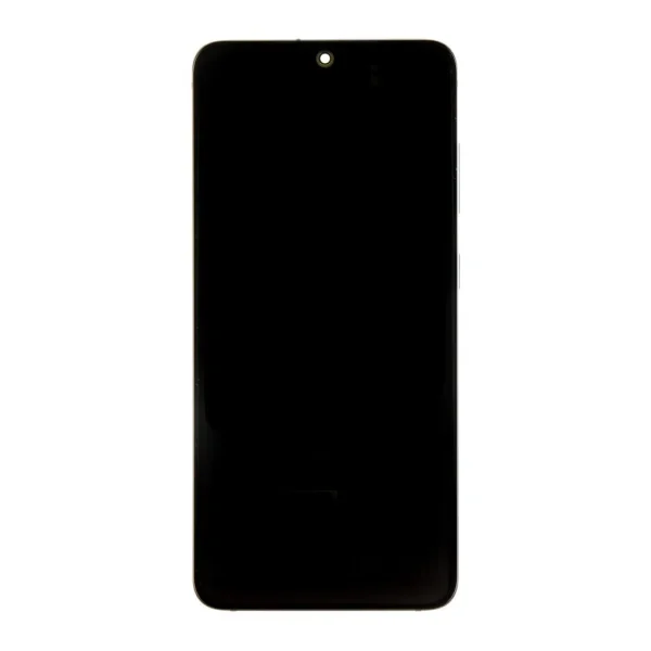 LCD kijelző + érintő + elülső tok Samsung G980/G981 Galaxy S20 készülékhez kamera nélküli (Service Pack) felhőkék